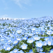 일본-이바라키 지역 이미지